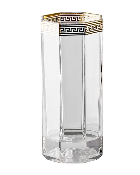 Versace Drinking Glasses .